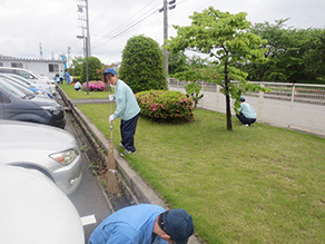 環境美化活動